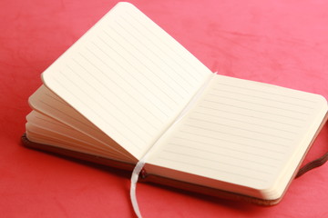 brown leather notebook open