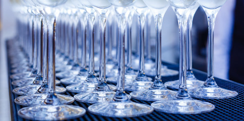 Fototapeta na wymiar Glasses with champagne lined up in a row
