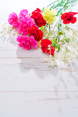 カーネーション