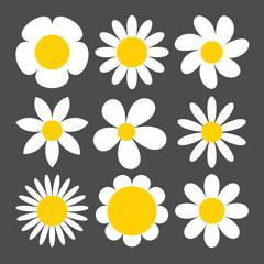 Camomile icon set on grey background.