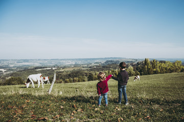 Deux jeunes enfants en train de regarder des vaches dans un champ