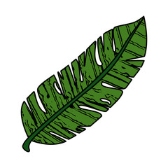 exotic leaf plant icon