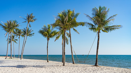 Fototapeta na wymiar The Palm tree rope swing at Phu Quoc beach Vietnam. Scenic view tropical beach palms