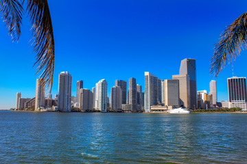 Fototapeta na wymiar Miami Skyline