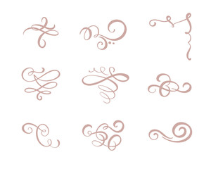 Vector set of floral calligraphic elements, dividers and flourish ornaments for page decoration and frame design. Decorative silhouette for wedding cards and invitations. Vintage flowers and leaves