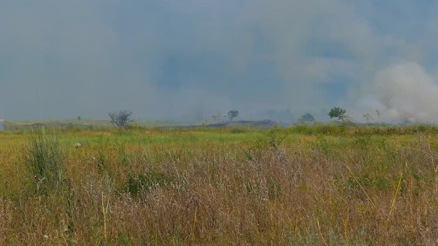 Wide Shot Of Smoke Clouds From Burning Farmers Field