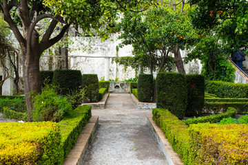 Fototapeta na wymiar Garten der Minerva in Salerno in Italien