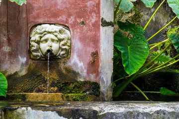 Garten der Minerva in Salerno in Italien