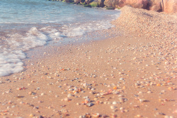 the sea coast from shells