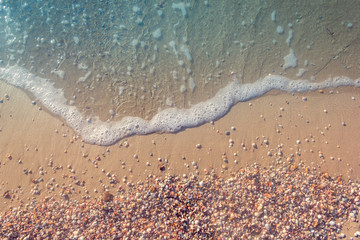 the sea coast from shells