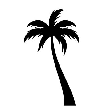 Coconut palm tree vector icon