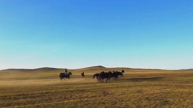 Horseman in traditional costume in the Mongolian steppe