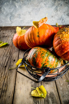 Autumn pumpkins background