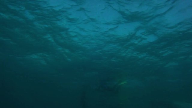 A hand held wide shot of some people swimming the surface of the ocean with the waves and the sun shining makes it quite unclear and fuzzy.