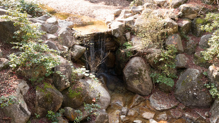 紅葉谷公園 もみじ