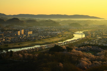 春の船岡城址公園