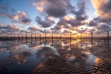 Fischgarten auf der Nordseeinsel F&ouml;hr