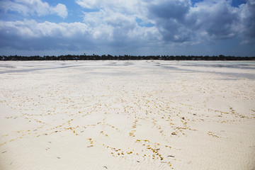 Amazing Beach with White Sand at low tide,Zanzibar,Tanzania