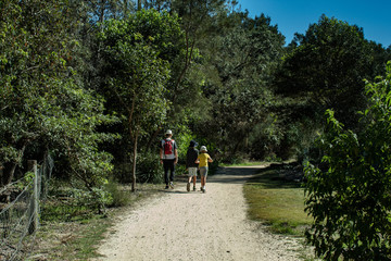 Fototapeta premium Nature walk with Dad and sons holiday scenic travel bush walk forest path