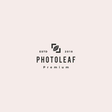 photo leaf logo vector icon illustration
