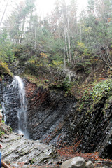 forest waterfall in mountains