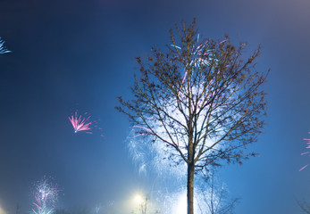 fireworks in the night sky