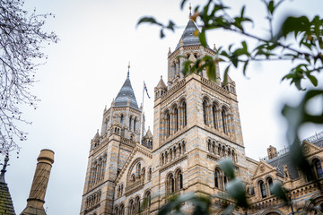 Natural history museum in London