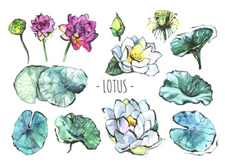 Set of different watercolor sketch and ink lotus. Red lotus, white lotus, tourquoise and green leaves of lotus flower. Lotus isolated on white