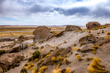 spacious Bolivian landscape