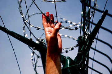 Barbed wire fence with blue skies