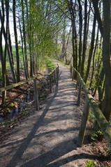 Naturpfad - Waldweg - Park