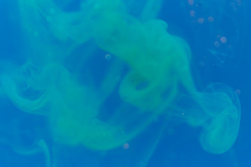 blurred blue background