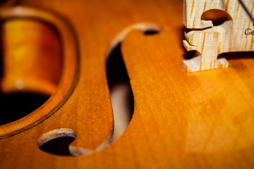 Violin