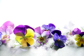 hintergrund blume bunt stiefmütterchen muttertag 