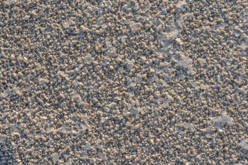 Close up of salt of the salt plains of Asale Lake in the Danakil Depression in Ethiopia, Africa