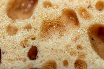 sponge for washing dishes photographed with a macro lens