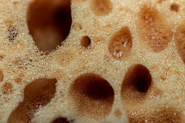sponge for washing dishes photographed with a macro lens
