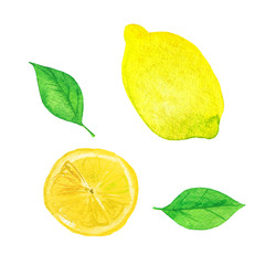 Set of fresh lemon and fruit slices isolated on white background. Hand drawn watercolor illustration. 