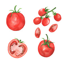 Set of fresh red tomatoes isolated on white background. Hand drawn watercolor illustration. 