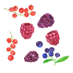 Set of fresh red berries: red currant, blueberry, raspberry isolated on white background. Hand drawn watercolor illustration.