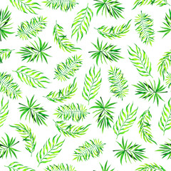 Seamless pattern with tropical green palm tree leaves on white background. Hand drawn watercolor illustration.