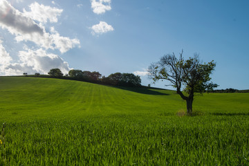 Colorful countryside in Italy