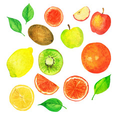 Set of fresh fruit and fruit slices isolated on white background. Apple, lemon, kiwi, orange and green leaves. Hand drawn watercolor illustration. 