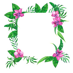 Decorative pink orchid tropical flowers and leaves frame isolated on white background. Hand drawn watercolor illustration. 