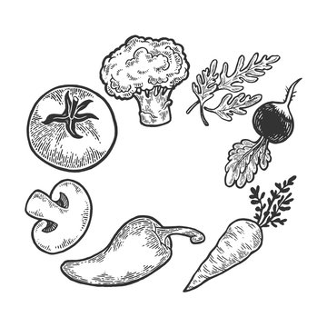 Vegetables vegan food sketch engraving vector illustration. Scratch board style imitation. Black and white hand drawn image.
