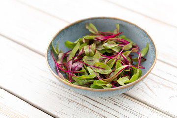 Organic Micro Beet Bull's Blood Greens 