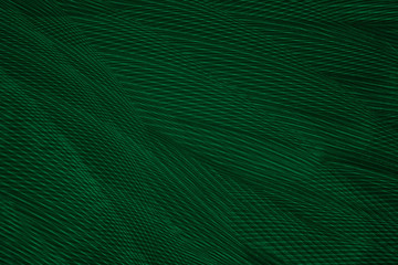Beautiful dark green colors tone feather texture background,trends color