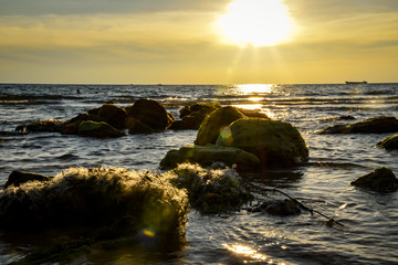 tropical beach short before sunset time with sunrays - 265474946