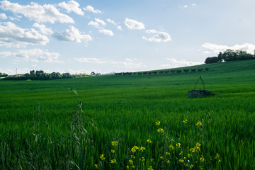 Colorful countryside in Italy