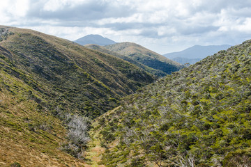 View across mountain range towards Mt Feathertop in the alpine high country  region near Mt Hotham in Victoria, Australia 